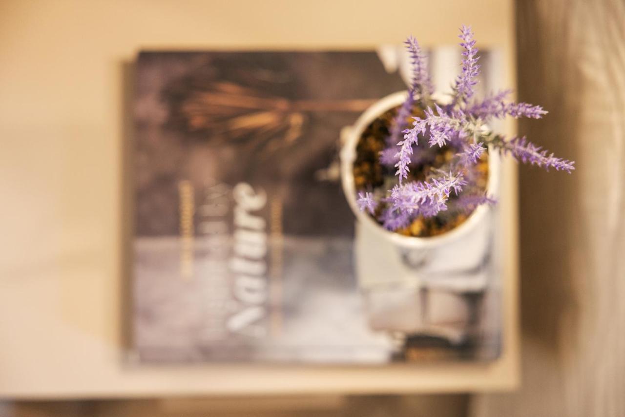 Hotel Balaton リッチョーネ エクステリア 写真